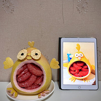 ����ܻ�����Ӽ�