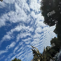 ΢�粻��������ã����ž�������ԭ����ģ���ɣ�