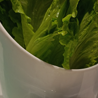 ��10����ʳ�ֲݡ�+�ºӳԻ����ȥ������ͷ