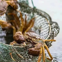 ���κ���բзyyds���й�ĵ���...