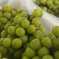 300Ԫ������5Ԫ�����껹��������õ����