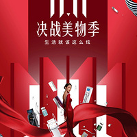 �ڶڶڣ�˫11��ս���﹥�����ʿ���