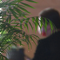 ��ѧ��11�򡿼����ϰ��ﱨ���߶���ѵ��   ������Ҫ��һ���