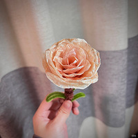 һ�����ӻ�