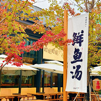 ��11���ֲ���ʳ����ʯ����+�޹޿��̲�