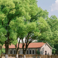 11��17-19�գ��ڼ����ӳ���ַ��԰������һ����Ȼ��ѧ�����м�