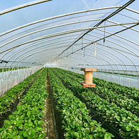 ÿ�ﳬ100Ԫ��������Ȼ���У�һ�����11Ԫ�����˵绰���򱬣�