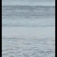 һ���Ӳ���������ȥ�ˣ�������������Ǯ�����������㱻���ߣ�