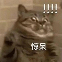 ���¡���ɽ����ɱ��������0�棡�������죡