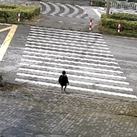 �������µĶ�ҹ��ͷ������һ3����ͯ��Ź���������ƿ�����ǻ���