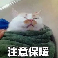 ףҽ¡ꡢ׵磡ͦס