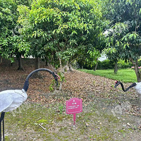 ��ĩ�����ã����Ұ������԰