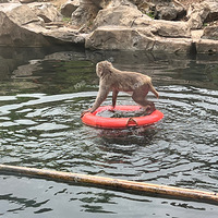 �ں�ɽ����԰�����ö����죡