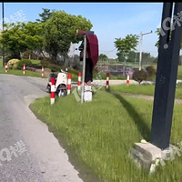 ��ˮ����ϵ���λ����ÿ�������������վ�ڡ���Ϊ��ʲô��