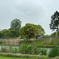 ��ҵ�ɭ�ֹ�԰��ô��ʩ����Ҫ���죿