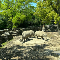 ˼죡аϺҰ԰ʺϷϵΣ