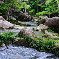 ��һǰ����ɽ