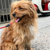 Ѱ��Ѱ��Ѱ��