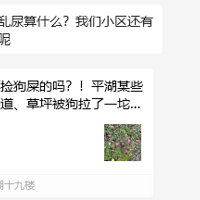 �����ĵ��ˣ�ƽ��ĳС��һ�����ڵ�Ԫ�ſ����С�㡭��