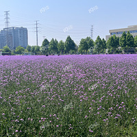 Ҧ�ҵ���԰��ɼ��˶����˰ɣ���