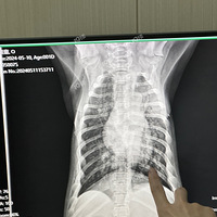 �������Ϻ������ֳ�����Ԫ·828-830��