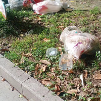 ����ʵ�ļ���ĳ��ǨС�����Ҳ���£��ֳ��Ѵ�����