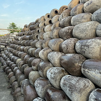 �������������ʷ�ľƳ�̫�ù��ˣ� ��Ѳι����� �����Ĵ�ѩ�⣡