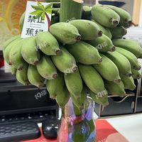 �칫���ֳ��˲���