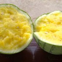 �Թ����Թ��������������յĵ�һ���������ˣ������û��