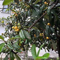 ��������������·�