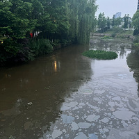 йȻĺ