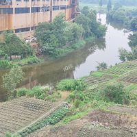 ˮǱô