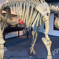 �������ʲ����