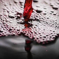Ӱʦ-ҵӰ-ҪƷ㻶ӭ~