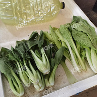 �˱��⻹�󣡼��˲˼ۺ�ʱ���ܻ��ȣ�