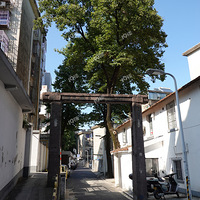 ϵ
