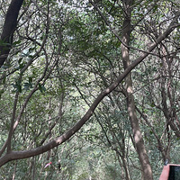 ��������߷�