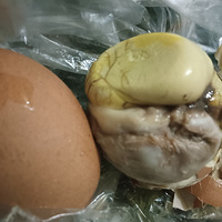 �Է�˵���һ��Ҫ�Լ����֣���Ȼ��Զ�Բ����ײ���