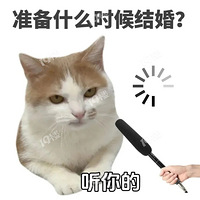 ؼӦı