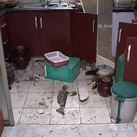 ĳС�����췢��ȼ��������ҵ����3����ǰ�ͽ������� ����ֲ���