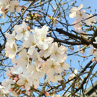 Եֻ¡Springin2025