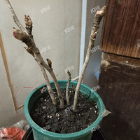 �������붮��Щ�ļ��������������Ⱦ��ҵĻ��ɡ�