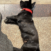 Ѱ������