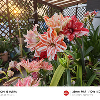 �춥��Ⱥ���ˣ�����