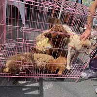 ͩ綪Ķ濴