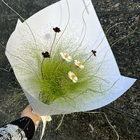 ��Ҳ����������