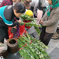 ���������ˣ���ͳϰ�׼���ǰ�Ұ��ݣ�����/����