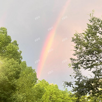 �������ʺ�