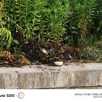 ��������������������ţ��������ʼ�������Ƶĺӵ�����