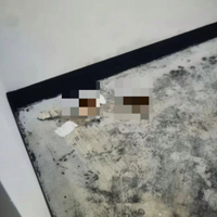 �·���������ʺ��������ȫ�ǳ�ζ��ҵ��������һ����λ